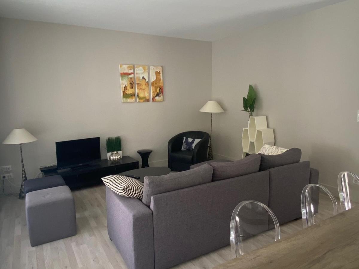 Vue Sur Cite - Spa Carcassonne Ngoại thất bức ảnh