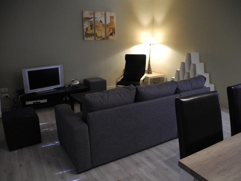 Vue Sur Cite - Spa Carcassonne Ngoại thất bức ảnh