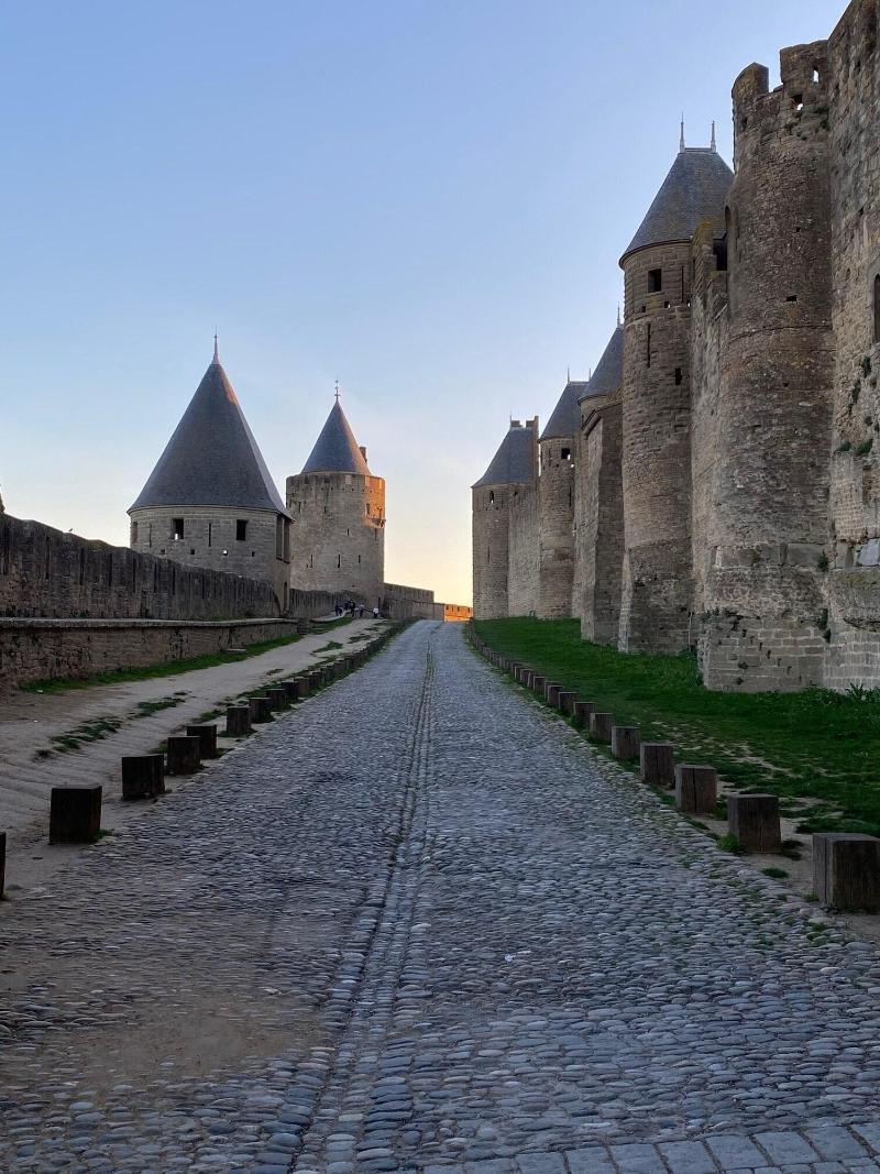 Vue Sur Cite - Spa Carcassonne Ngoại thất bức ảnh